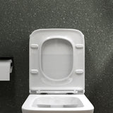 glasvilla Stand WC mit Spülkasten spülrandloses-WC bodenstehende-Toilette aus Keramik, weiß/matt schwarz  36x63x82cm, mit Absenkautomatik inkl. Spülkasten, Stand112T