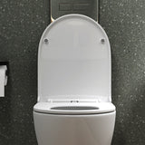 glasvilla Wand WC spülrandlos Schwarz Hänge WC spülrandlos Toilette WC mit Sitz Softclose
