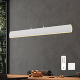Suspension Glasvilla 100 cm, lampe LED dimmable avec télécommande, température de couleur 3000K/4000K/6000K, câble ajustable, 20 W, idéale pour salle à manger, salon ou chambre.