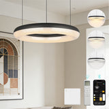 glasvilla Lampadario Sospensione, Lampada 3000-6000K con Filo 170 CM, Altezza Regolabile, Lampada da Soffitto a Sospensione per Camera da Letto, Cucina e Soggiorno, Luvina03