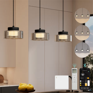 glasvilla Pendelleuchte LED Hängelampe 3000K/4000K/6000K Verstellbares Kabel Schwarz Hängeleuchte Alivetta7915 3A